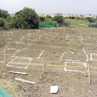 CAM�’DE “HAK�M KIZ”