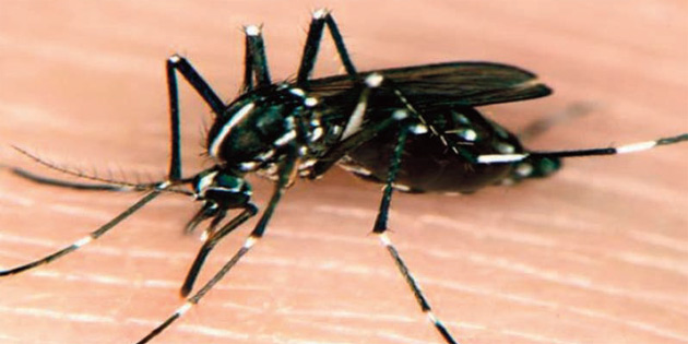 BAKANLIKTAN ASYA KAPLAN S�VR�S�NE��NE UYARI 