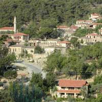Ye�il bah�elere yolculuk! 