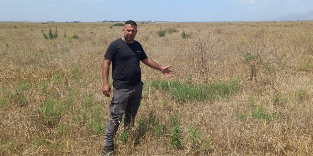 'Sertifikal tohumlardan ok daha iyi verim alyoruz'