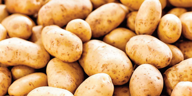 BZM PATATES DNYAYI SOLLADI 