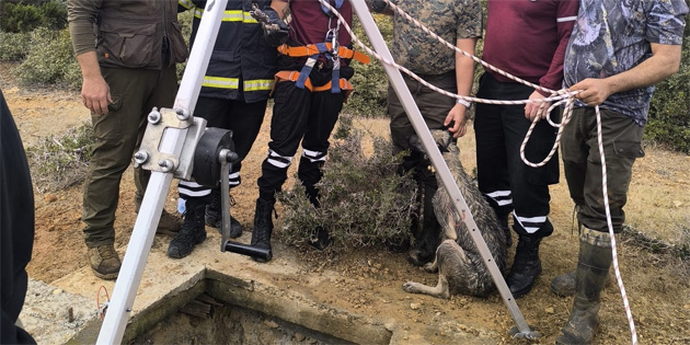 Kuyuya den av kpei itfaiye ekipleri tarafndan kurtarld