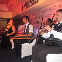 Trk Sanat Mzii leni 