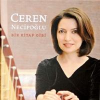 Talihsiz sanatnn CD’si kt