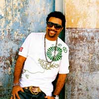 Shaggy gerid�nd�