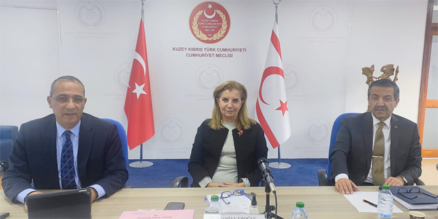 Ekonomi ve Enerji Bakanl���, D��i�leri Bakanl���, Say��tay ve Sivil Savunma Te�kilat Ba�kanl��� b�t�eleri komiteden ge�ti