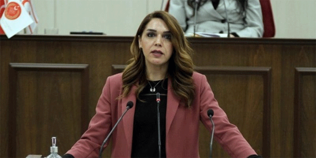 Fide Krat’tan Yeilky’deki orman talanna tepki: “Bu ihmale sessiz kalmayacaz”