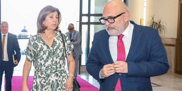 Cumhurbakan Tatar, Holguin’i kabul etti