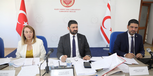 �dari, Kamu ve Sa�l�k ��leri Komitesi topland� 