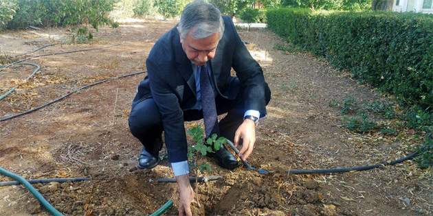 “�lkeyi a�a�land�rman�n tam mevsimi…”