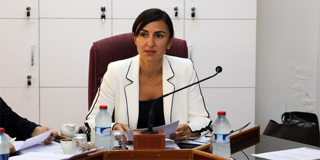 Rogers: “lkenin enerji ihtiyacn bir zel irkete anahtar teslim vermeyi planlanyorlar”
