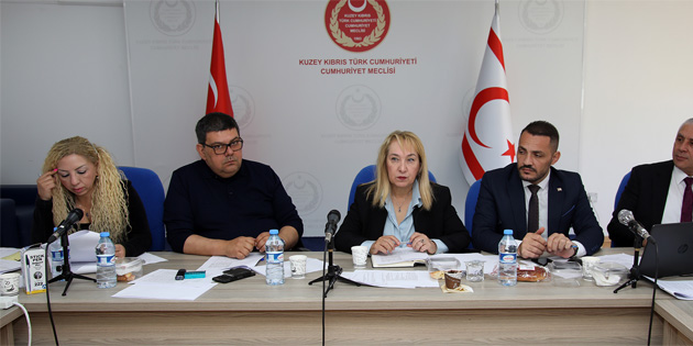 dari, Kamu ve Salk leri Komitesi topland