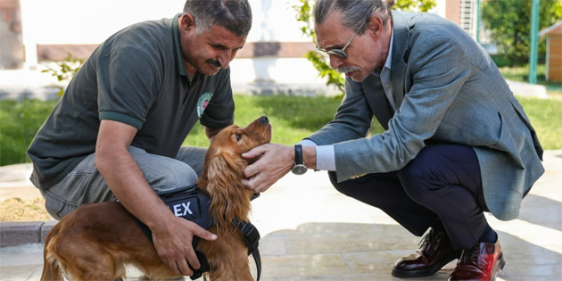 Etimesgut Belediyesi'nde 5 sokak k�pe�i i�e ba�lad�