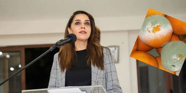 Fide K�r�at: Cypfruvex’te ya�ananlar�n hesab� verilmeli