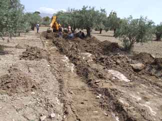 Dilekkaya’da 13 Kemik Bulundu