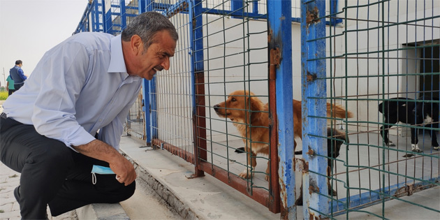 Gazima�usa Belediye Ba�kan� Ulu�ay’dan �i�ek yerine hayvanlara mama ba���� �a�r�s�