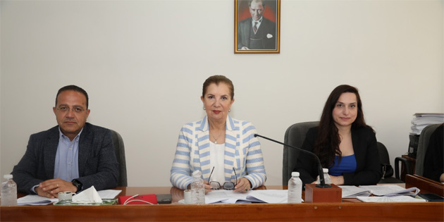 “Kuzey Kbrs Muhasebe ve Denetim Meslek Yasa Tasars”nn Komitede grlmesine devam edildi