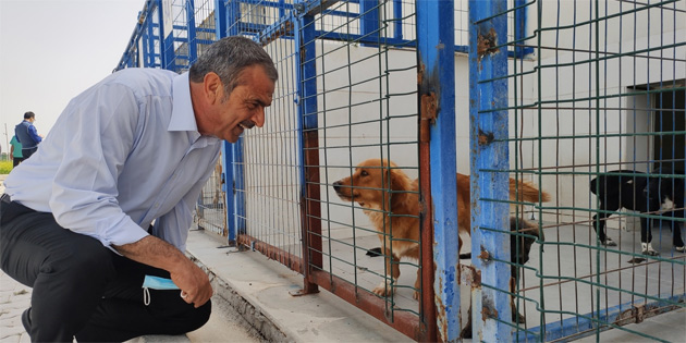 ���EK YER�NE BARINA�A MAMA 