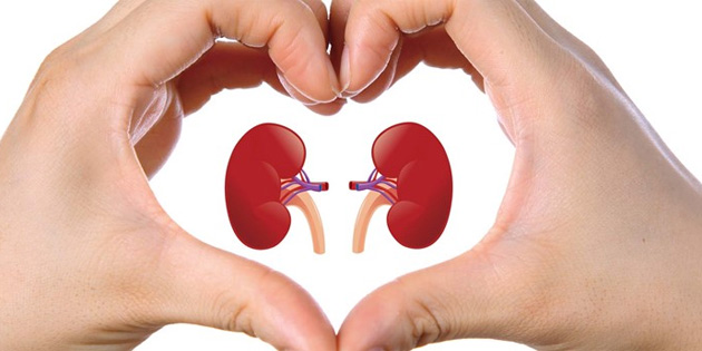 150 diyaliz hastas organ nakli bekliyor