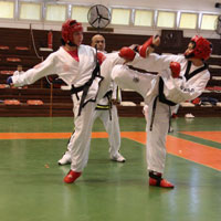 Taekwondocular Mukavemet Kupas iin yart