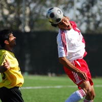 Gol Krall Erta’n 