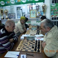 Sertbay, Telka’y� Sahiplendi  