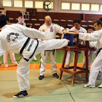 Taekwondoda ustala terfi snavlar yapld