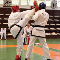 Taekwondocular ferdi yar��t�