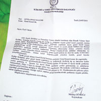 Binatl� kar��t�