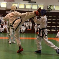 Taekwondo Milli Tak�mlar� belirleniyor